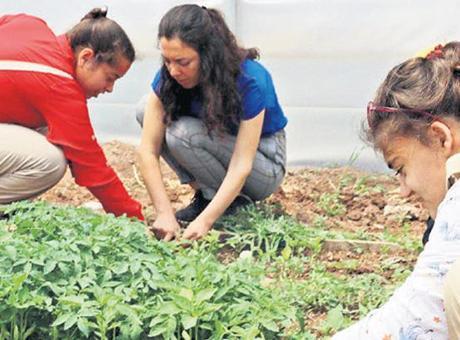 Okullarda yaşam becerileri öğretilecek