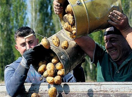 Genç girişimcilerin IPARD’a ilgisi yüksek