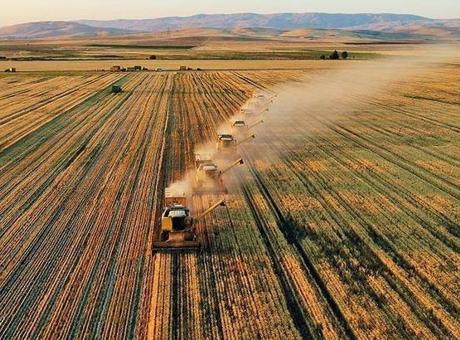 Tarım ve Orman Bakanlığı: Destekleme ödemelerini çiftçilerimizin hesaplarına aktarıyoruz