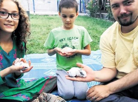 ‘Taliban liderinin başına ödül koyabiliriz’