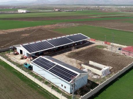 Devletten aldığı destekle çiftlik kurdu! Hem et hem enerji üretiyor
