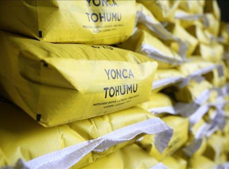 Çiftçilere yüzde 70 hibeyle mısır ve yonca tohumu dağıtıldı