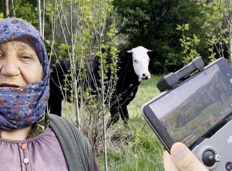 Kezban ninenin yardımına koştular! Kaçak düve dron ile bulundu
