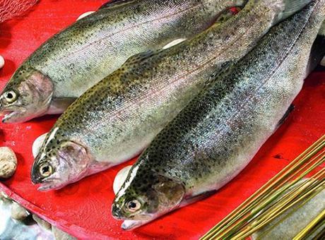Doğu Karadeniz'in Türk somonu ihracatı 35,8 milyon doları aştı