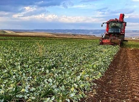 6839e5eba12e54de7c110fdf Bakanlık duyurdu: Çiftçilere destek ödemesi yatırılacak
