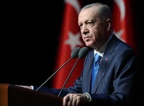 Cumhurbaşkanı Erdoğan, Somali Cumhurbaşkanı ile görüştü