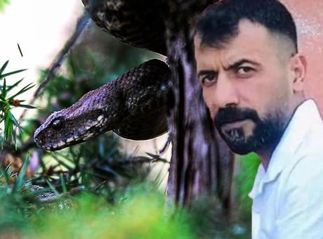683c56f5911df68ede45bed0 Diyarbakır’da yılan dehşeti! Hayvanları otlatan çoban can verdi