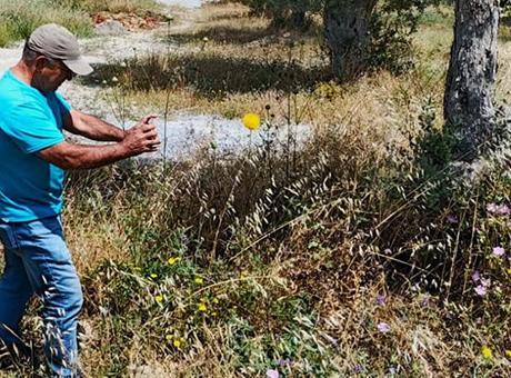683d7fcaa12e54de7c112130 Lüks sitelerin arasında! Dokunmanın bedeli 557 bin TL: Büyük bir şans