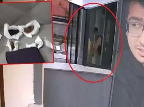 6841a31c691548ef57378f4b Aile içinde biliniyordu! Sapık doktorun köpeklere yaptıkları kan dondurdu