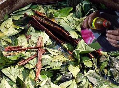 684400e3651bfdc11b9b4ff3 SON DAKİKA HABERLERİ: PRENS HARRY'NİN DE İÇTİĞİNİ SÖYLEDİĞİ AYAHUASCA ÇAYI BİR TURİSTİN ÖLÜMÜNE YOL AÇTI