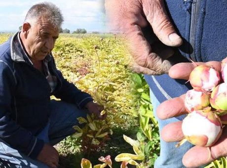 6844012ea12e54de7c1132b6 Gurbetçiye büyük şok! 13 yıllık emeği bir gecede yok oldu