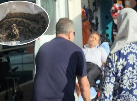 6845bf1aa12e54de7c113b15 Ailesi ile pikniğe gitti dehşeti yaşadı! Engerek yılanı ayağını ısırdı