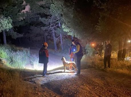 6848935aa12e54de7c1147fa Pendik'te ormana girdi ve ardından kayboldu! Ekipler harekete geçti