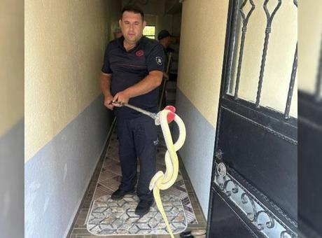 6852d1be582529acd0a3f8d0 Yer: Balıkesir! Ev sahibi dev yılanla karşılaşınca şoke oldu