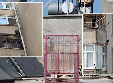 68596240105959d3b8d467f1 Siteye giren maymun 'Hayri' için kafesli operasyon! Evlere iniyor, ne bulursa yiyor