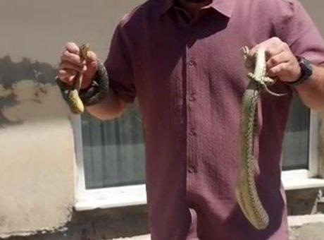 685a64815b0ab95a89d3a990 Köyün cesur kahramanı! Adı ’yılan avcısı’ oldu