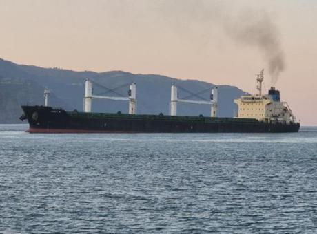 685c4d43e9347e6b90df3930 Tekirdağ'da karaya oturan gemide kirlilik riski var mı?