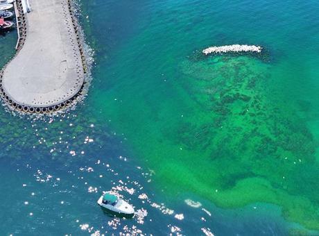 685d0be6e9347e6b90df3c65 Marmara’da Denizi’ndeki tehlike! Yeniden görüldü: 18 metre dipte saklanıyor