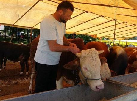 6863eb63c4317961fa3fefaa Son dakika: Ülke genelinde tüm hayvan pazarları kapatıldı