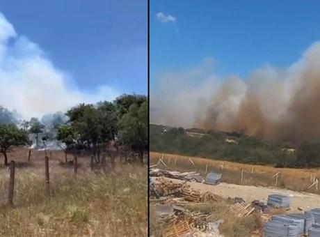 Son dakika... Silivri'de orman yangını! Müdahale başladı