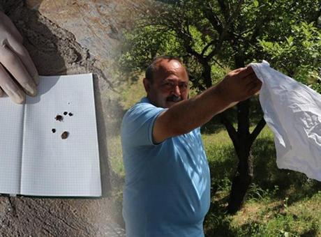 6867a969407805e46c037b8c Profesörden kenenin varlığını anlama testi: Eğer ortamda varsa gelecektir