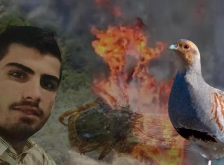 68691748280d2d4b642c1816 Yastıkta gördü, 120 dönümü yaktı! Kene eve girmez: 'Çaresi ilaç değil, keklikler'