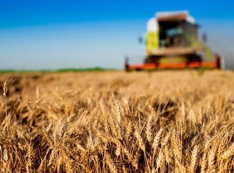686a5645407805e46c038555 Tarımsal hasılada rekor! Bakan Yumaklı açıkladı: Dünyada ilk 7 ülke arasına girdik