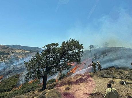 686a58a7407805e46c038575 Çanakkale’de korkutan yangın! Havadan ve karadan müdahale başladı