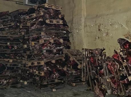 686d4299280d2d4b642c20f9 Kötü koku harekete geçirdi! Vatandaşlara yedireceklerdi...