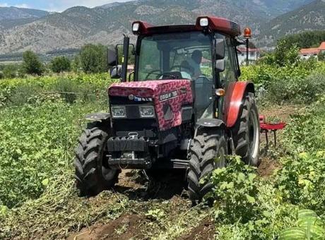 6874f17ebf2042513df9ee3c Karpuzun tarladaki dönüm fiyatı 10 bin liraya geriledi