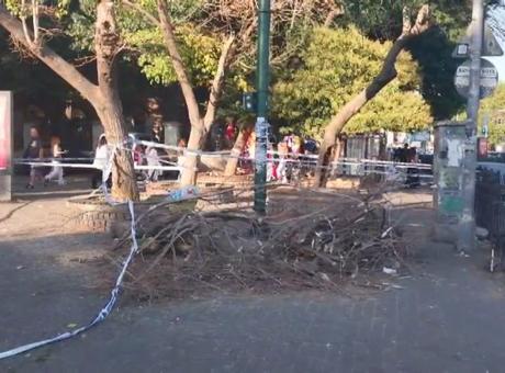 68768977407805e46c03b28b Beşiktaş'ta şiddetli rüzgar sonucu ağaç devrildi! Kaldırımda yürüyen 3 kişi yaralandı