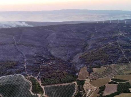 687893e7bf2042513df9fdea Son dakika... 2 mahallede tedbir amaçlı tahliye edilmişti! Şarköy'deki orman yangınında son durum...