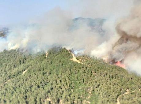 687953a3bf2042513dfa0450 Balıkesir'deki orman yangını kontrol altında