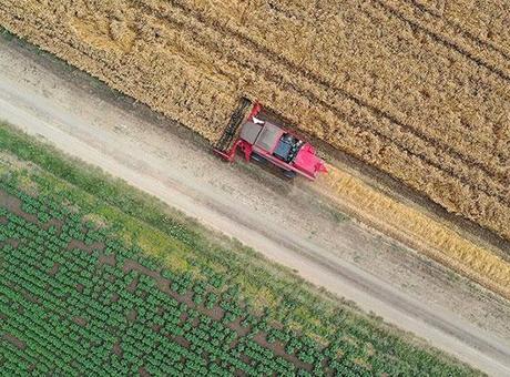 687a5ad9c4317961fa40452a Çiftçilere 1,7 milyar liralık destekleme ödemesi bugün yapılacak