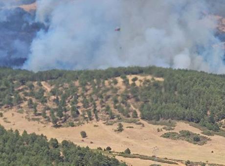 687d3f37d13a6e6d2d96d2a7 Uşak'taki orman yangını büyük ölçüde kontrol altında: 30 hektar kül oldu