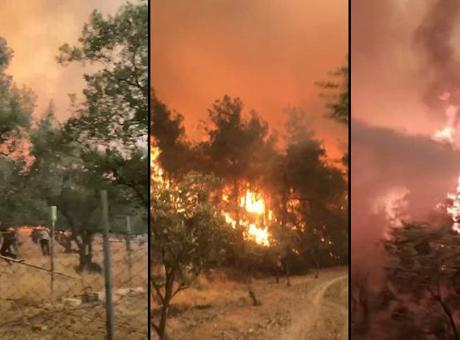 6881f9d9280d2d4b642c7280 Orman yangınında dehşet anları kamerada: Abi çıkmamız lazım, ortada kaldık