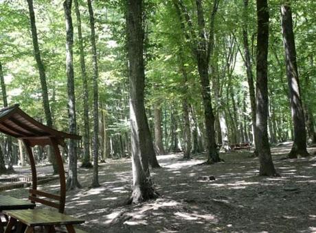 6883c5aeba1ad627b368f456 Ankara Valiliği, 30 Ağustos’a kadar ateşli piknik faaliyetlerini yasakladı