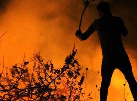 6889ca0400194e78d1bb1a5a Uzmanından orman yangını gönüllülerine hayati uyarı: 'Yangın sizden hızlı koşar'