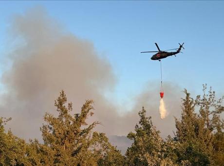 688a48873f27d3361d153dff Havai fişekle yangına sebep olan şüphelilere ağaç dikme cezası