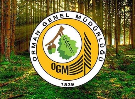 688cf033a24008c540a89f68 OGM'den, 'yangın yönetim uçağı OTAĞ'ın kullanılmadığı' iddialarına açıklama