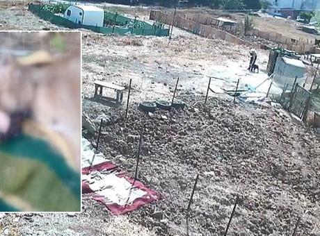 688f6c503f27d3361d154edd Esenyurt'ta köpek işkenceyle öldürüldü iddiası