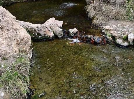68a9eaeb040a7ce46db49778 'Şifalı' denilen suya giren çift hayatını kaybetti