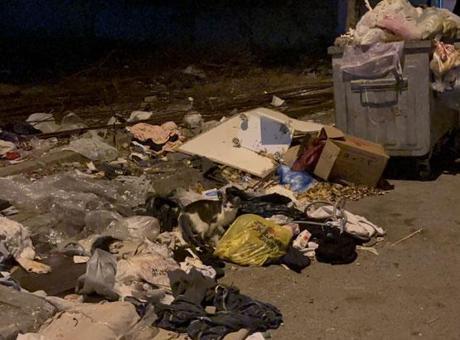 68acc7ef8310db41d521188f Kartal'da işçiler 'eksik ödeme yapıldığı' gerekçesiyle çöpleri toplamadı