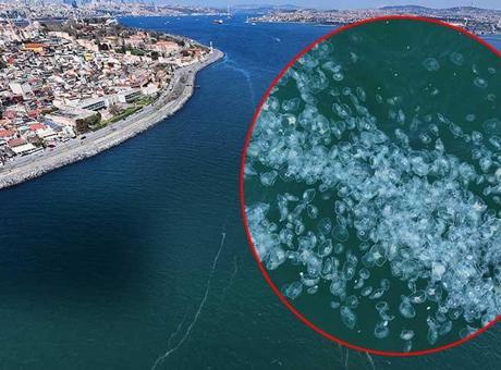 Marmara Denizi'nin dehşete düşüren manzara! ‘İlk kez bu yoğunlukta’
