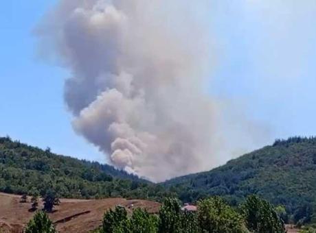 Bursa’da orman yangını! Karadan ve havadan müdahale ediliyor