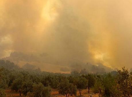 Denizli’de orman yangını! Havadan ve karadan müdahale başladı