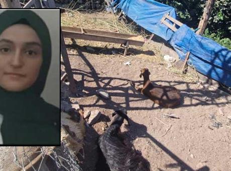 68c2b8a32232a99f288b88ba Diyarbakır’da feci olay! Yerde yatan keçiye dokunan Pervin can verdi