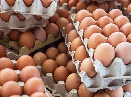 Market poşetinden çıkarır çıkarmaz yapın! Yumurta bayatlatan hata, bunlardan uzak tutun