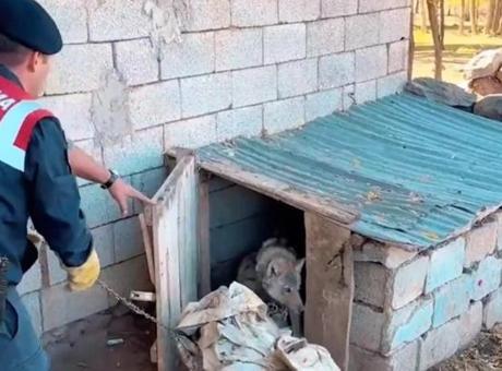 68f1dd72f673ab5ac3669da2 Van'da kurdu zincirle bağlayan kişiye 81 bin TL ceza