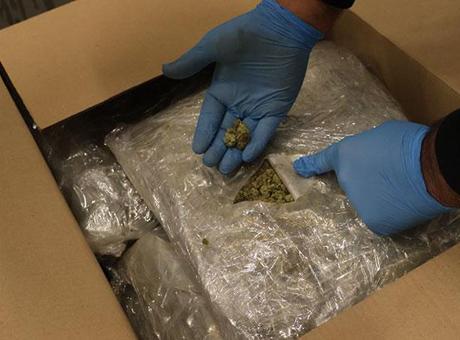 69030428b825a93f9900d264 Kapıkule ve İpsala’da nefes kesen operasyon! 525 kilo uyuşturucu ele geçirildi